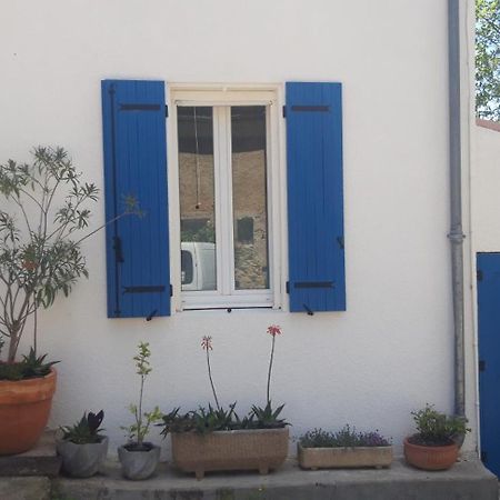 Maison Occitane Saint-Nazaire-d'Aude Eksteriør billede